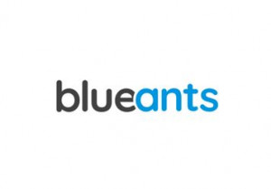 blueants Nord GmbH